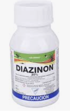 Dianiznon